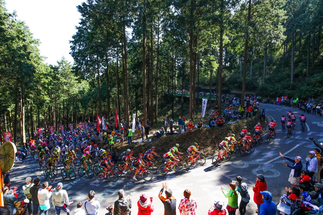 The peloton tackles the clim