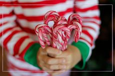 A child holding a bunch of candy canes