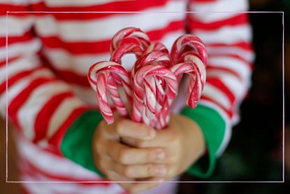 A child holding a bunch of candy canes