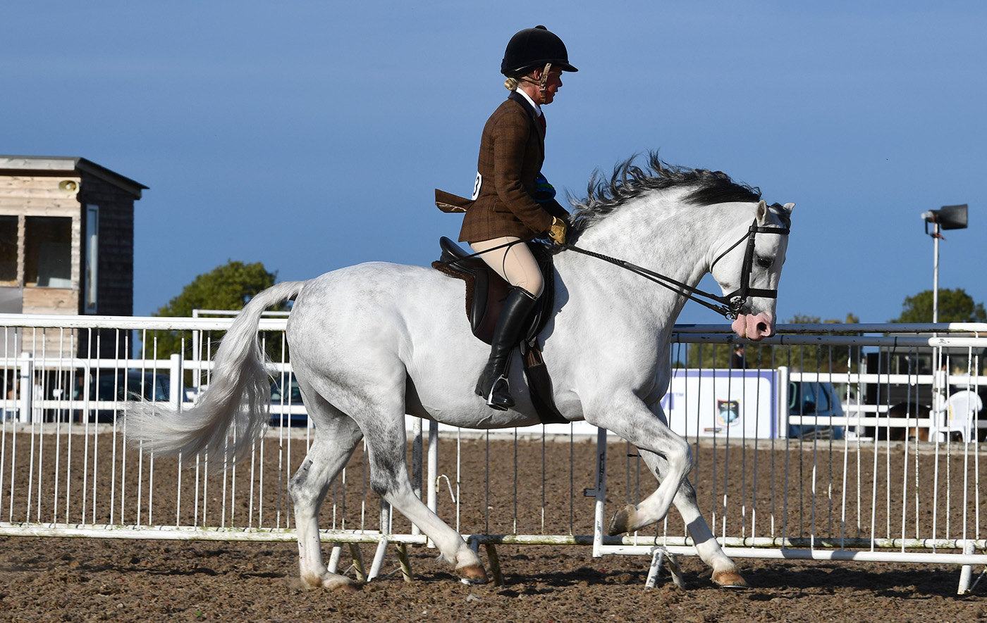 Heritage Show 16.10.2266711