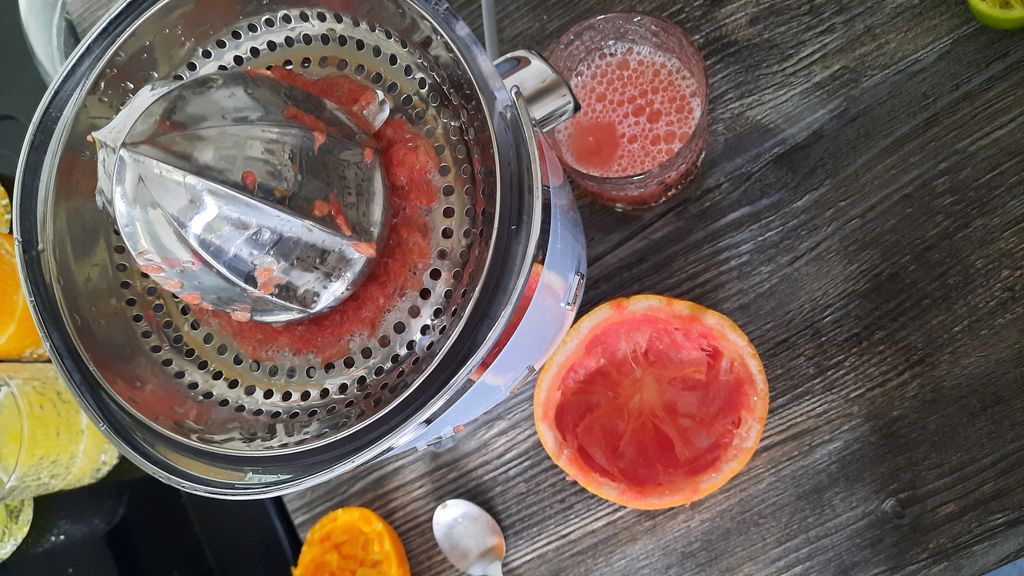 The best juicer 2024 the best cold press and centrifugal juicers