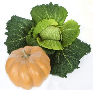 A pumpkin and a head of kale