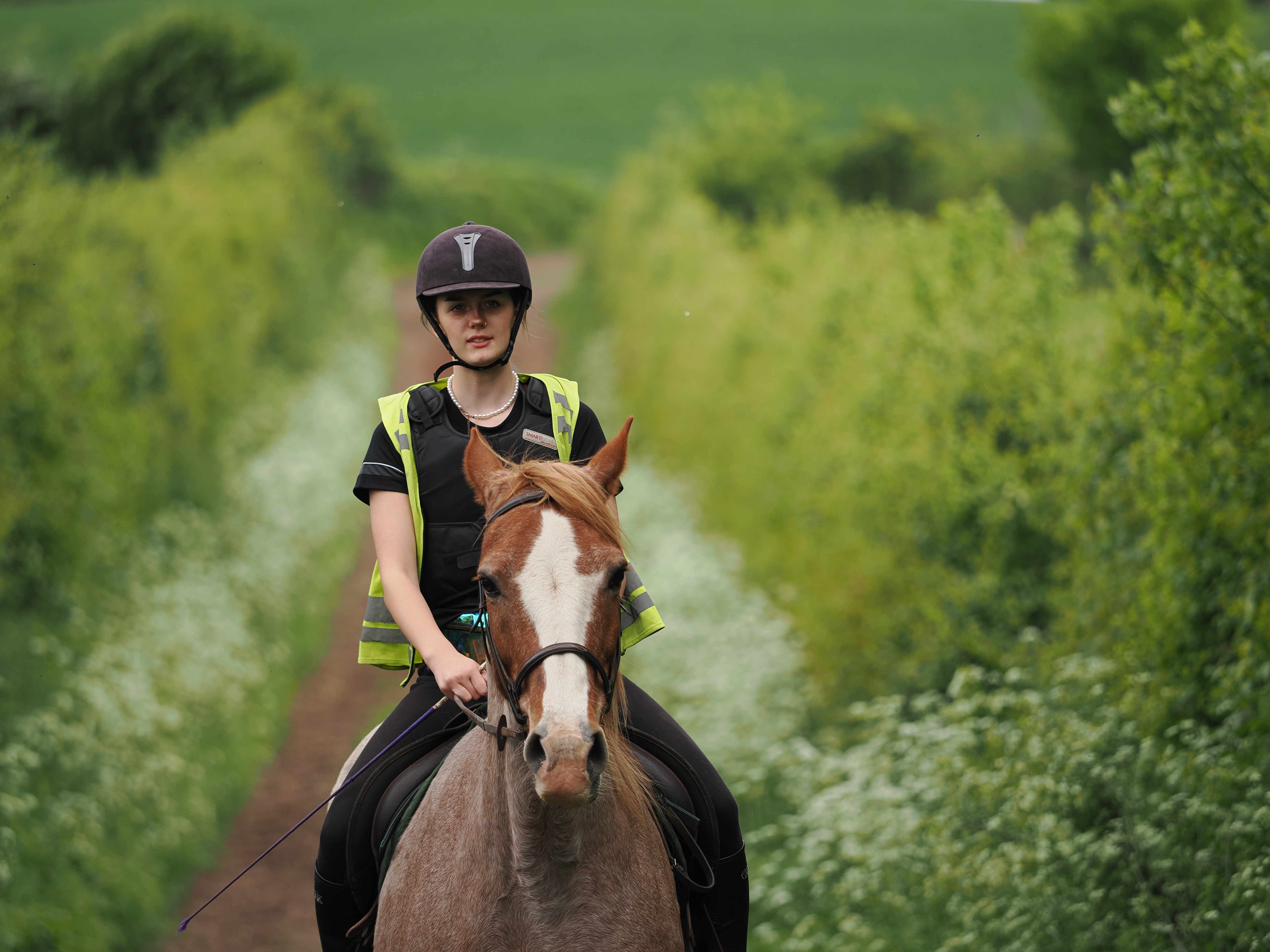 A horserider on a horse on a forest path