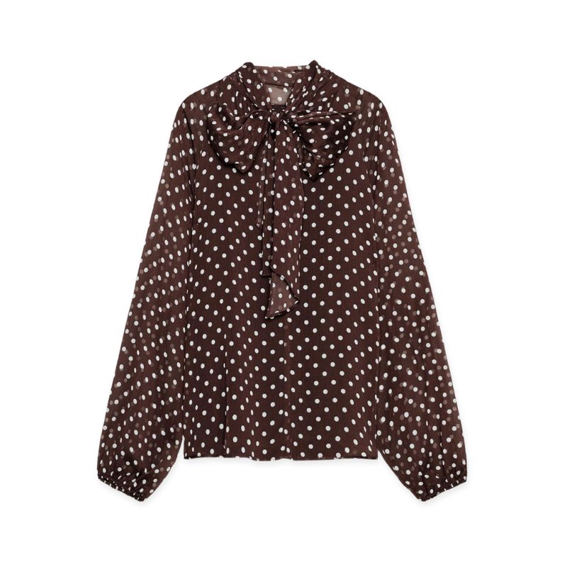 A cutout of a brown and white polka dot blouse