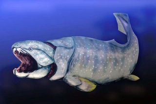 Dunkleosteus, an ancient armored fish. Credit: Nobu Tamura/Creative Commons