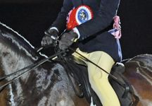 HOYS-SP.jpg