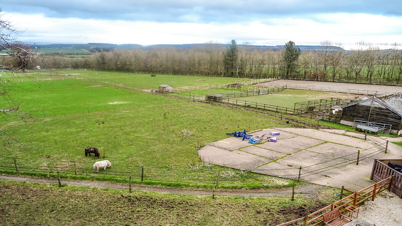 paddocks