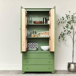 green larder cupboard for a kitchen