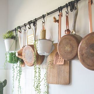 Hanging rail on a kitchen wall with saucepans, breadboards and plants