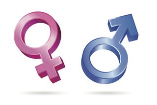 gender, pregnancy, boy, girl, female, male