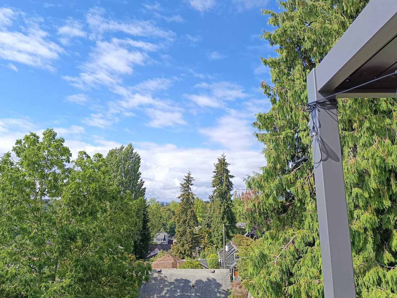 Trees