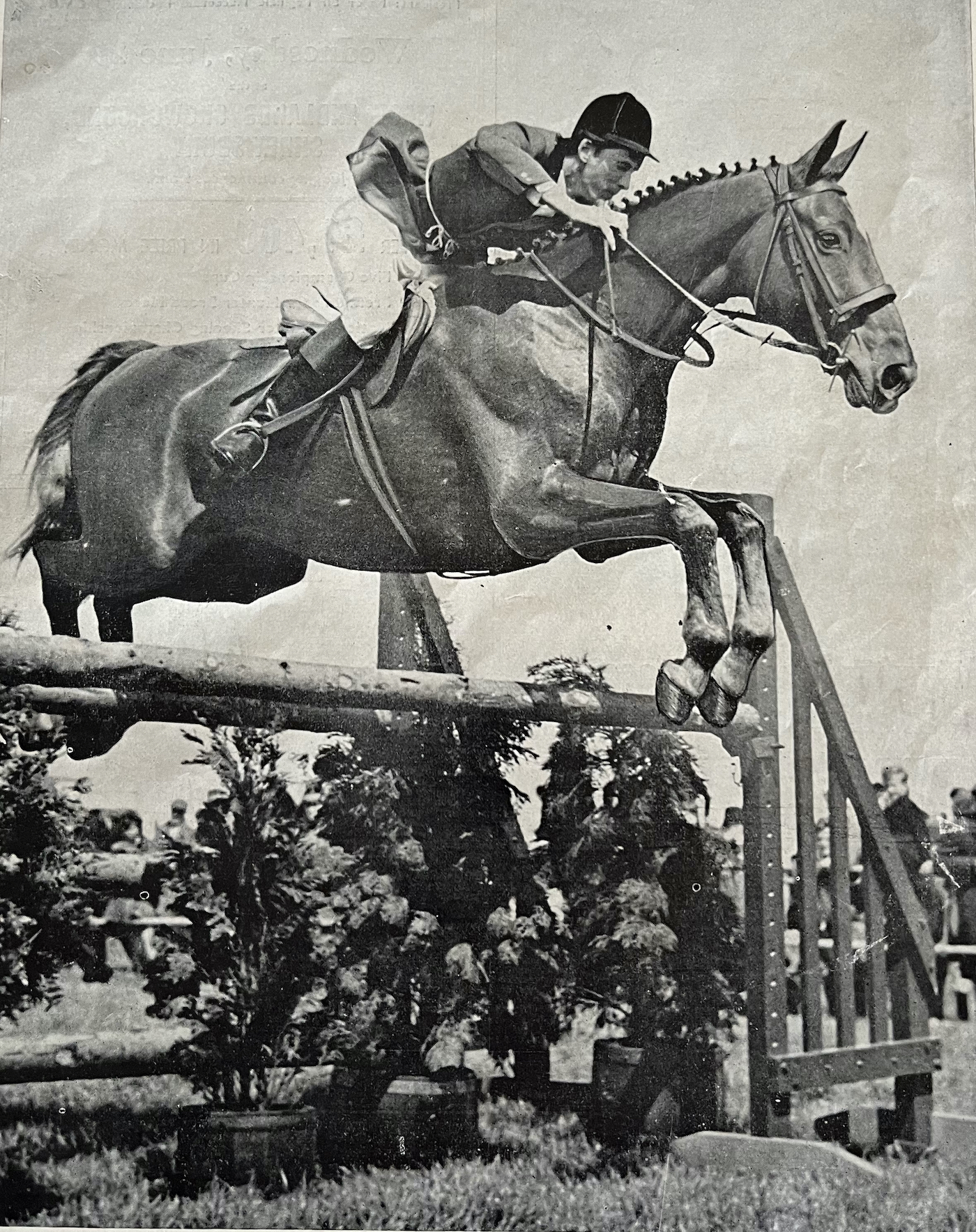 Olympic showjumper David Boston Barker, pictured, has died aged 79