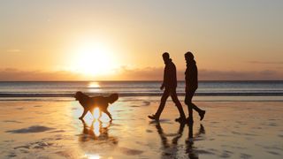 couple walking their dog along the beach as the sun sets