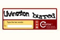 reCAPTCHA