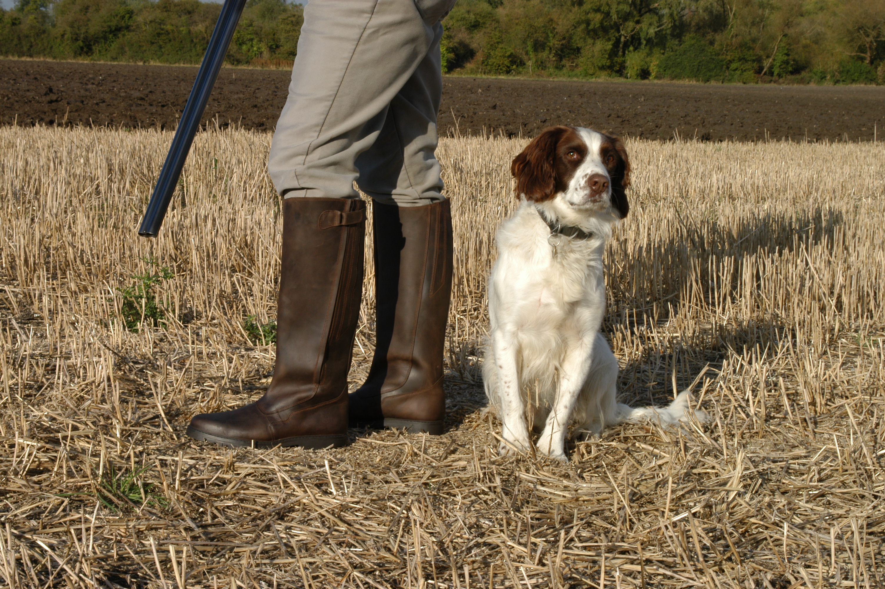 0059-Gaucho.jpg
