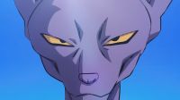Beerus looking forward