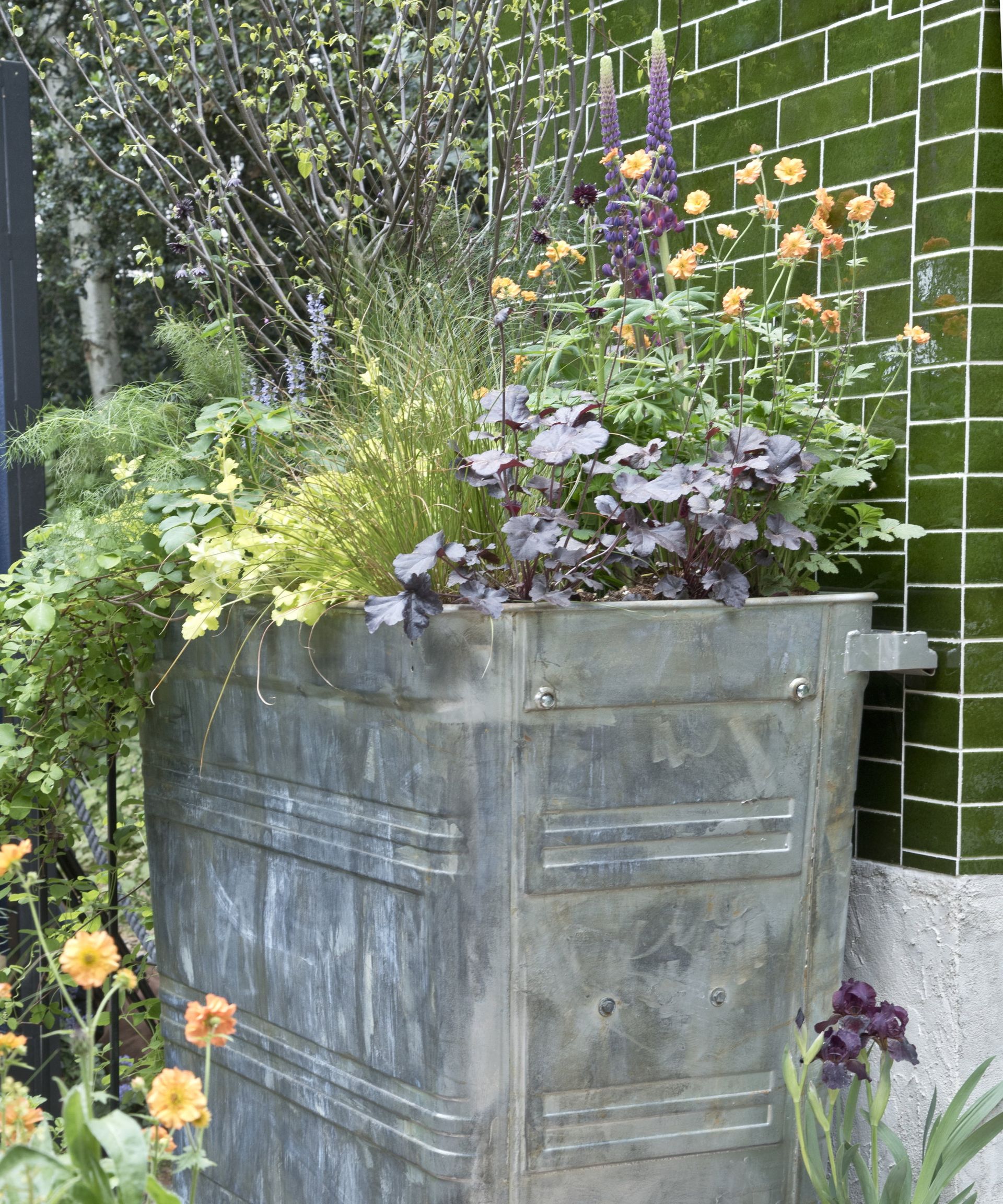 Flowering plants in a large metal planter