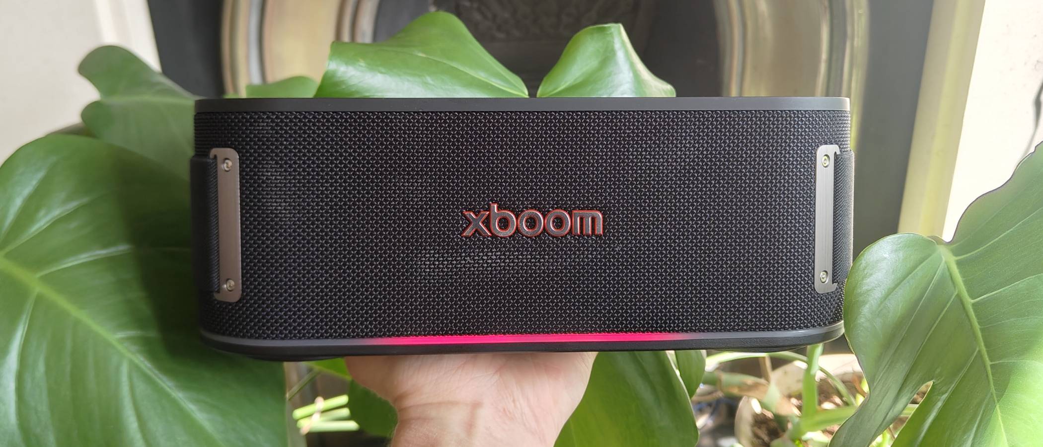 The LG xboom Bounce by a leafy plant on a shelf.