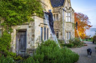 Asthall Manor, Burford - Gardeners up ladders pruning roses on the front wall.