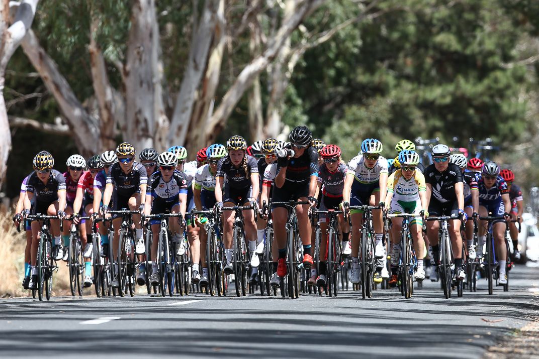 The peloton in stage 1