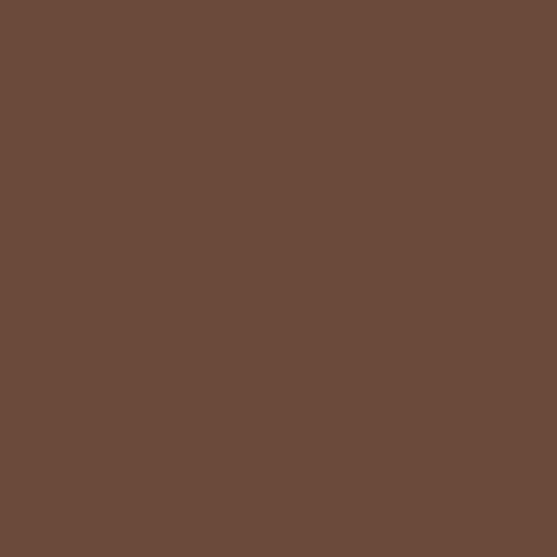 dark brown paint swatch