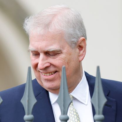 Ex-Prince Andrew wears a navy suit and stands behind a metal fence while smiling