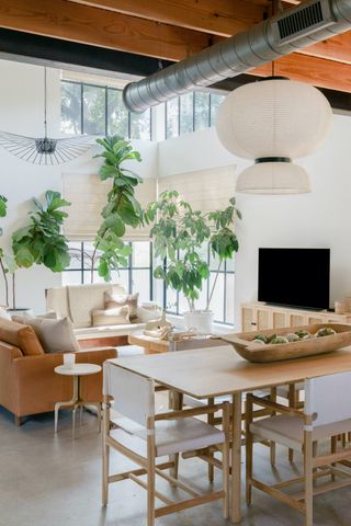 Living room with large trees