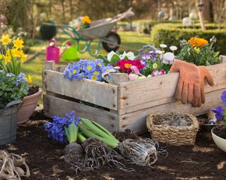 spring container ideas getting tools and plants ready