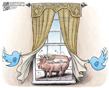 Political cartoon U.S. Trump tweets Kirsten Gillibrand