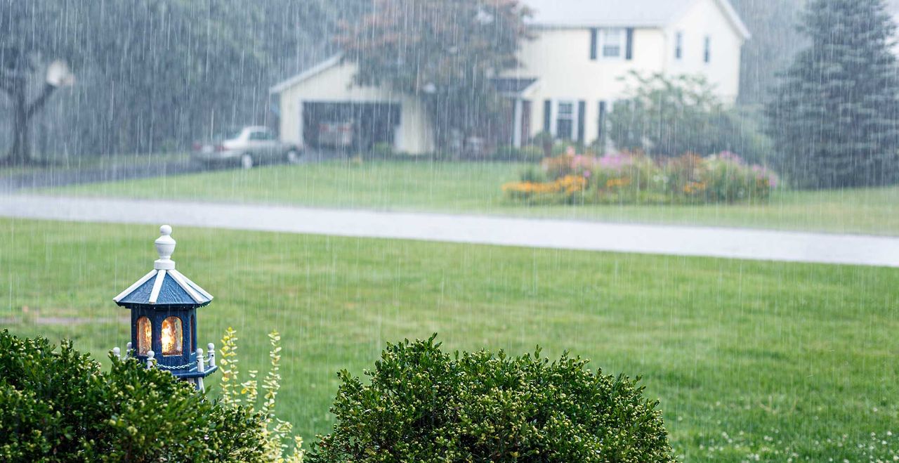 A front lawn During Drenching Rain Storm Downpour to question can. you cut wet grass 