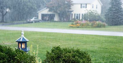 A front lawn During Drenching Rain Storm Downpour to question can you cut wet grass and How long after rain can you cut grass