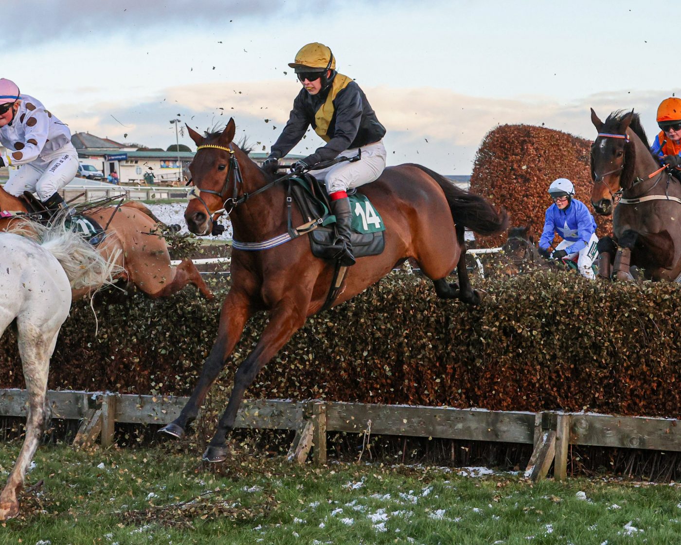 RYANS FANCY IMAGE P2P JOHN GROSSICK COMM1USE