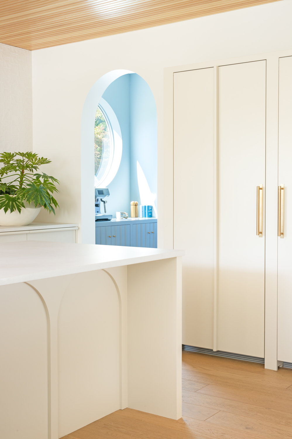 white kitchen with white cabinetry and walls, timber floor, timber ceiling, pot plant on counter, and look through to a bright blue color-drenched pantry