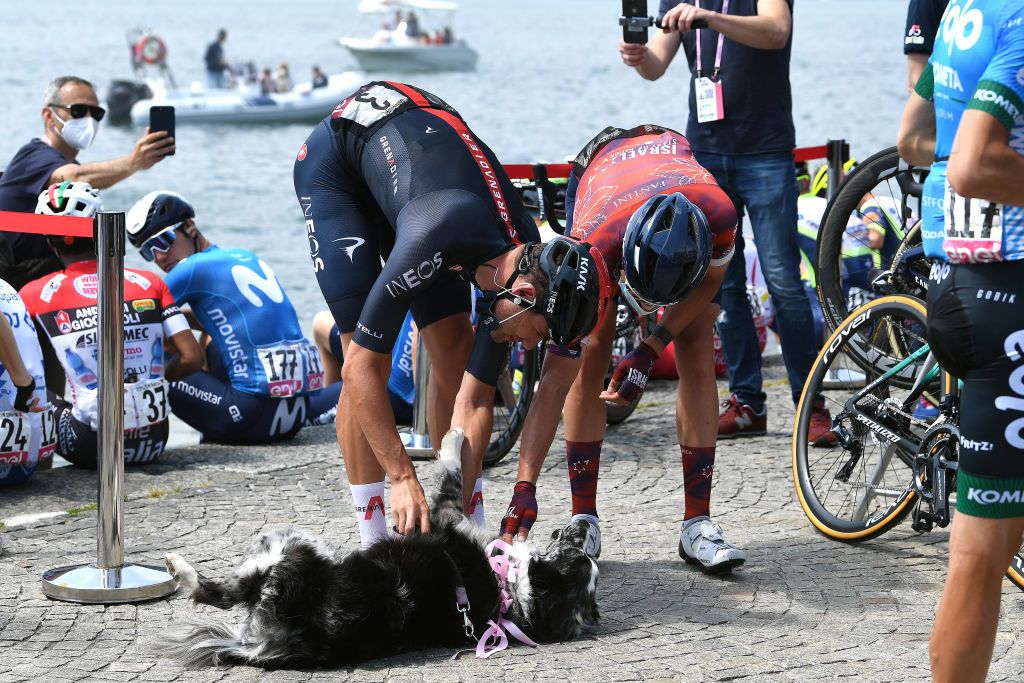 VALLE SPLUGA ALPE MOTTA ITALY MAY 29 Filippo Ganna of Italy and Team INEOS Grenadiers and his dog Mia Davide Cimolai of Italy and Team Israel StartUp Nation in Maggiore Lake at start during the 104th Giro dItalia 2021 Stage 20 a 164km stage from Verbania to Valle Spluga Alpe Motta 1727m UCIworldtour girodiitalia Giro on May 29 2021 in Valle Spluga Alpe Motta Italy Photo by Tim de WaeleGetty Images