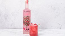 Sapling Spirits raspberry and hibiscus vodka