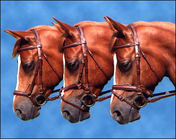 prod3-bridles.jpg