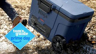 Ninja FrostVault Cooler 45 qt