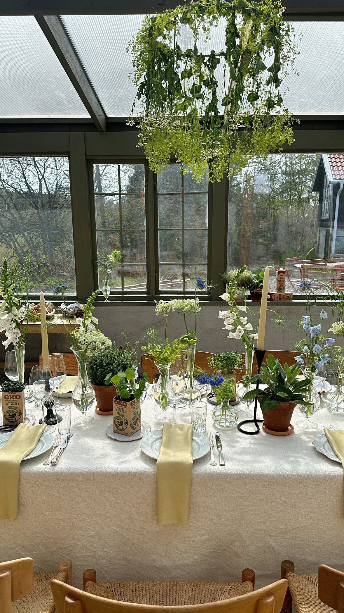 A summer, conservatory dining space with an eclectic style centre piece with a variety of potted plants and glass jars and vases of baby's breath. The place settings are simple, with a white plate and a silk yellow napkin.
