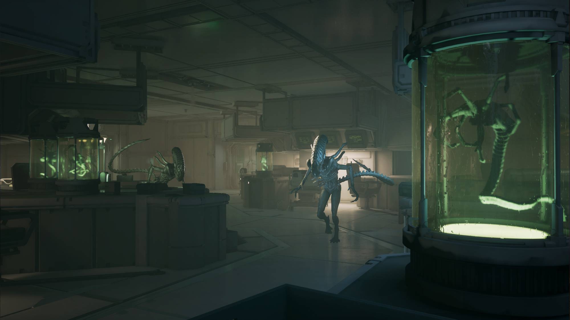 Alien Rogue Incursion Evolved Edition screenshot