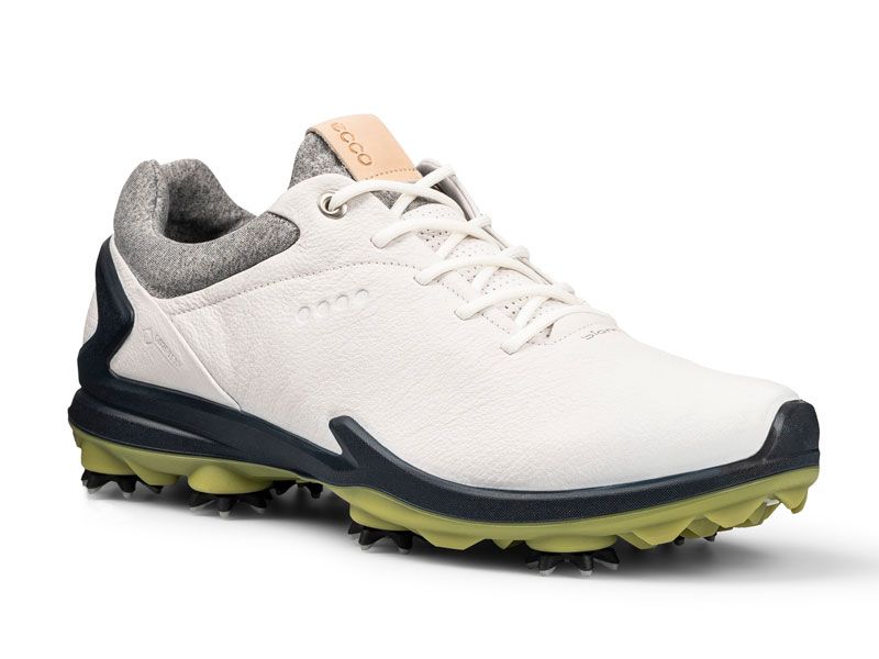 Ecco Biom G3 Shoe Review