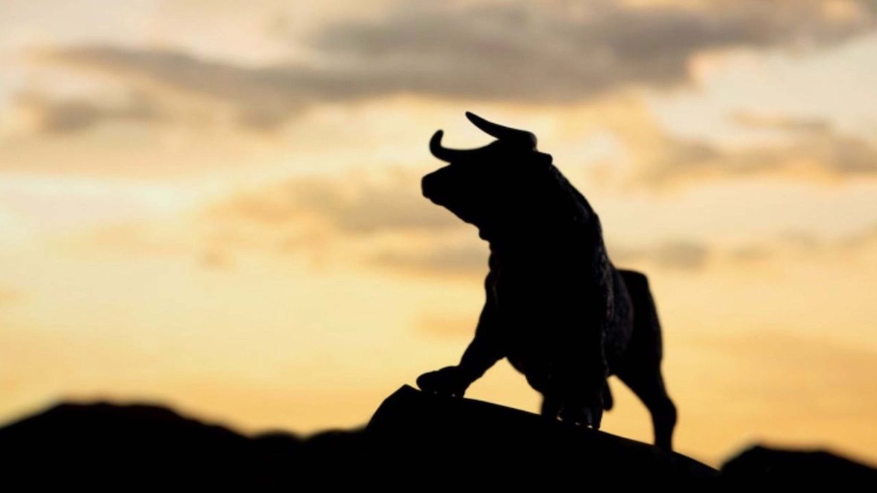 A silhouette of a proud bull looking onward, set against an orange sky.