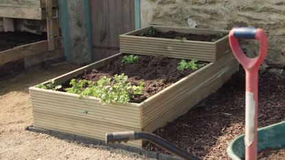 garden bed made up of wood plank plant and soil