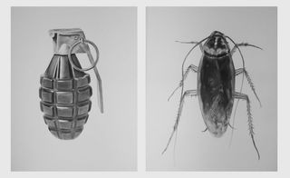 Left: grenade. Right: cockroach