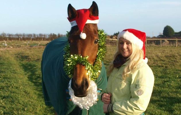 Angela Penman&rsquo;s Yola (complete with Santa beard)