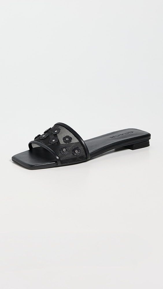 Coach Tea Rose Flat Sandals