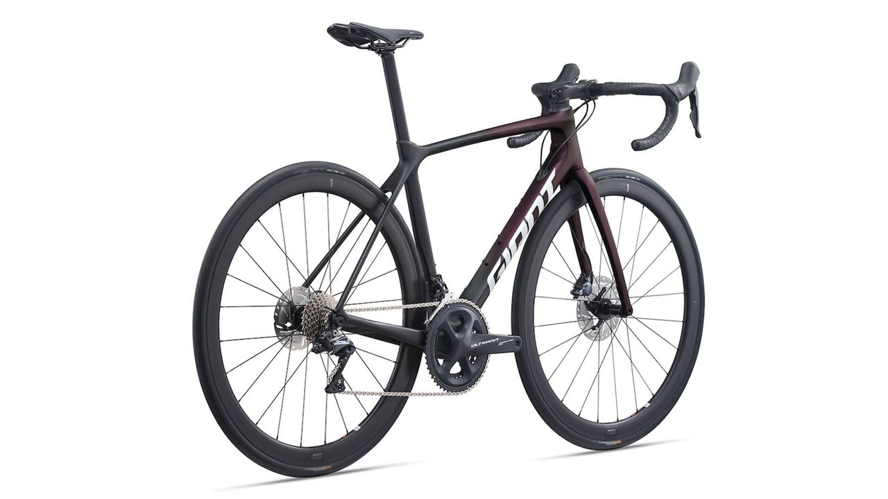 Giant TCR 2021