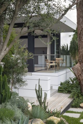 Modern cactus garden around a home with a white deck