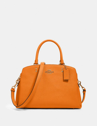 Coach Lillie Carryall | $107