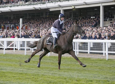 Denman 1