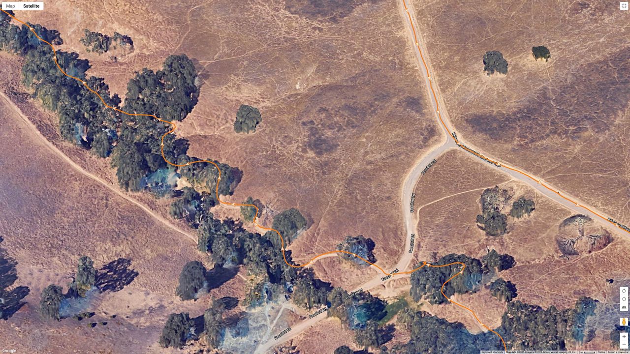 A GPS map showing the Garmin Forerunner 970 (orange line) tracking my location on a windy, tree-lined trail.